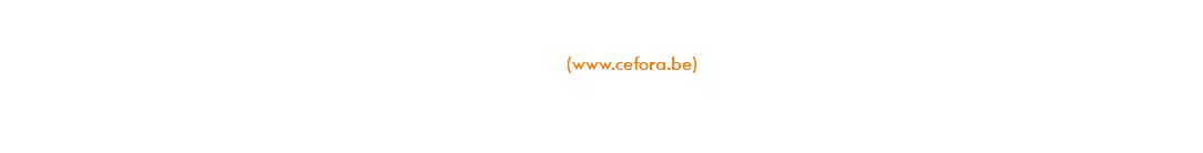 Formatrice à la Fédération d’Education physique de l’ Université de Liège ainsi que dans d’autres structures de formations continues (www.cefora.be), pour les petites et moyennes entreprises.